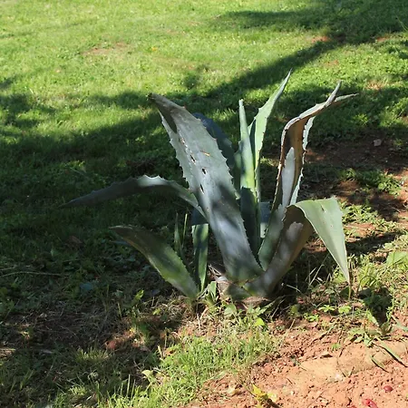 With Parking Space Lovran, Opatija - 7713 Apartament *